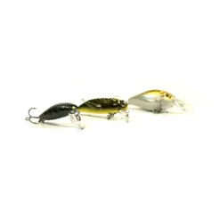 Packs Et Ensembles - BZONE Pack Eco Petit Carnassier