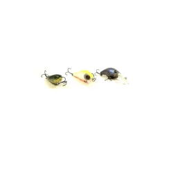 Packs Et Ensembles - BZONE Pack Eco Spinning Perche
