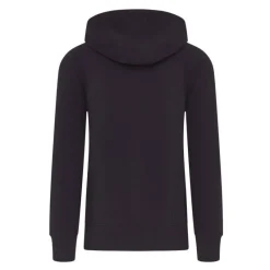 Vêtements|Vêtements - TRAKKER weathirt CR ogo Hoody Back Cao