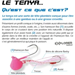 Leurres|Pêche Au Tenya - EXPLORER TACKLE Tête plombée magic tenya deep coque