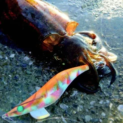 Pêche Eging|Leurres - YAMASHITA Turlutte mer egi sutte r 3.0 11.5cm 15g